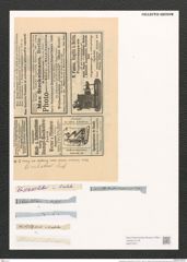 Campylodiscus limbatus Breb. (de-Toni-Nr.: Genus 57, Species 2509) Zeichnungen Sammlung Grunow (NHMW-BOT-W0373271)